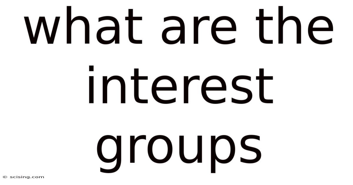 What Are The Interest Groups