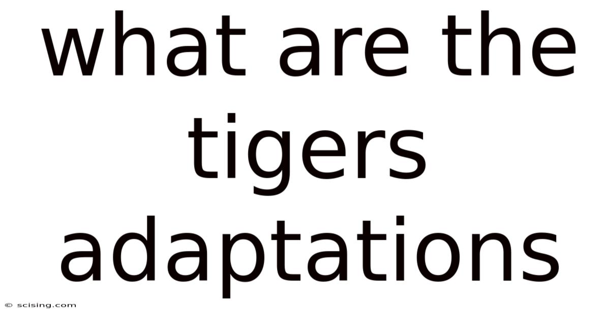 What Are The Tigers Adaptations