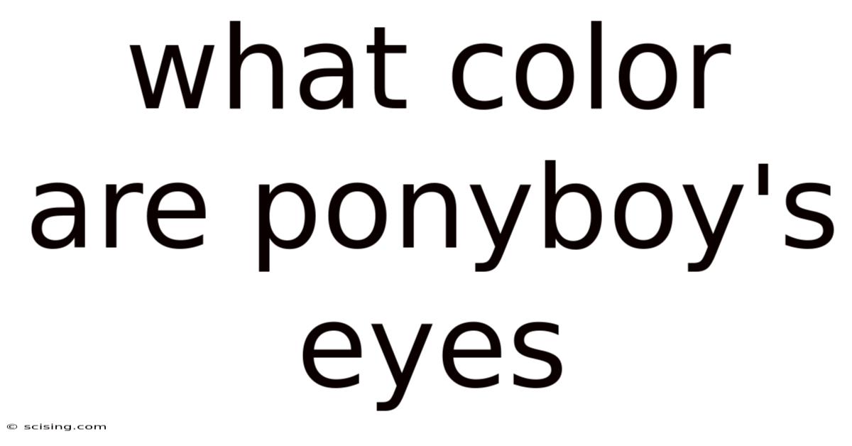 What Color Are Ponyboy's Eyes