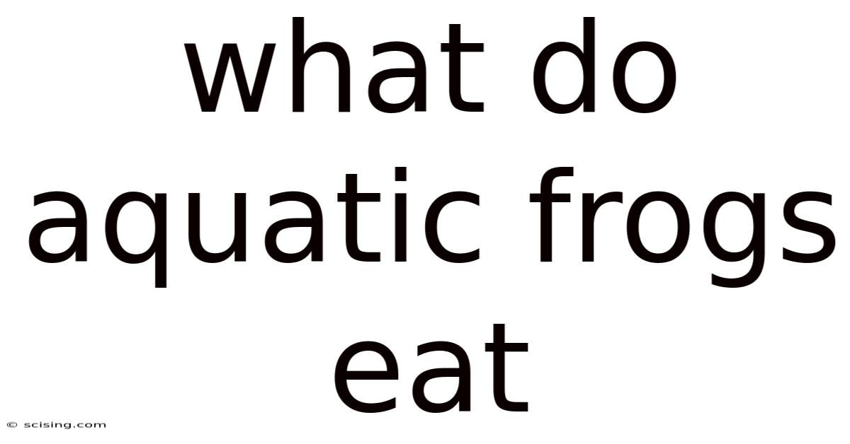 What Do Aquatic Frogs Eat