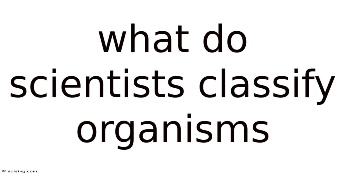 As Classification What Do Scientists Classify Organisms