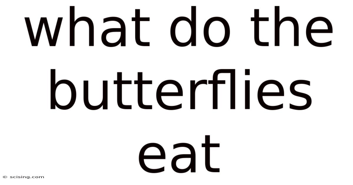 What Do The Butterflies Eat