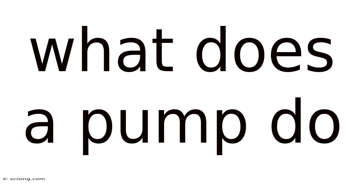 What Does A Pump Do