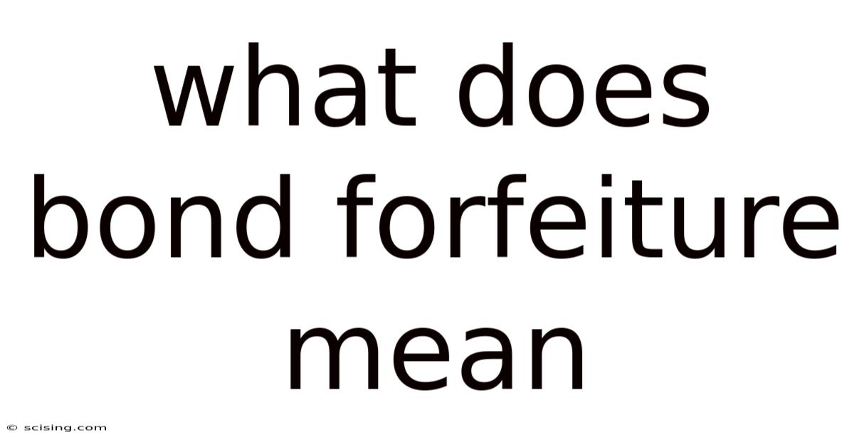 What Does Bond Forfeiture Mean