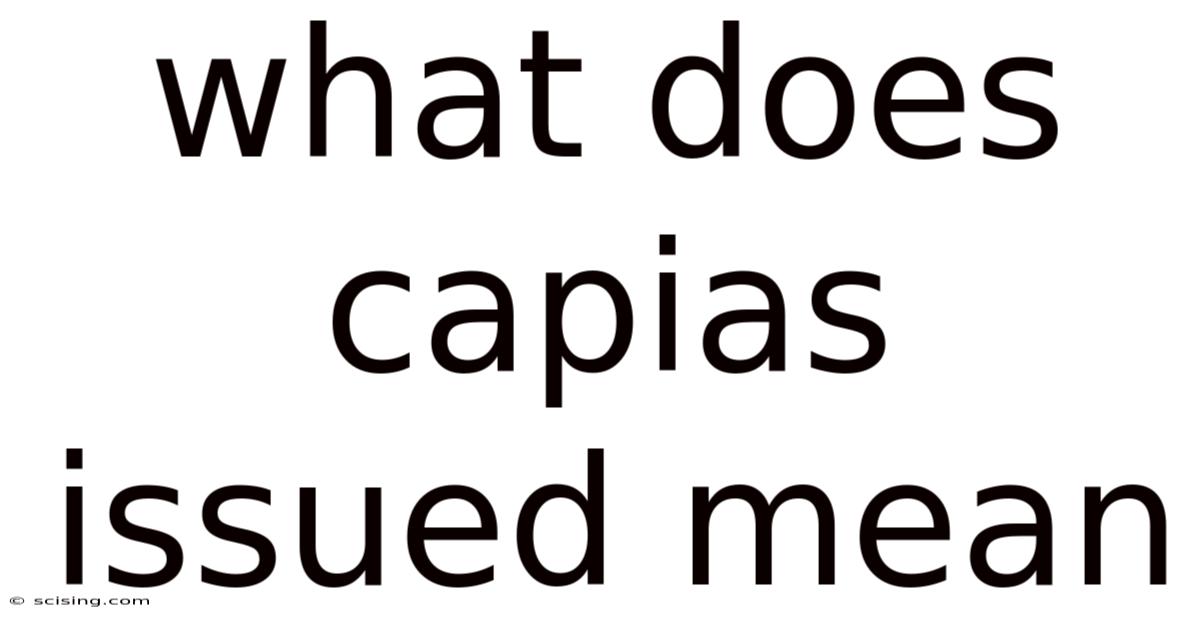 What Does Capias Issued Mean