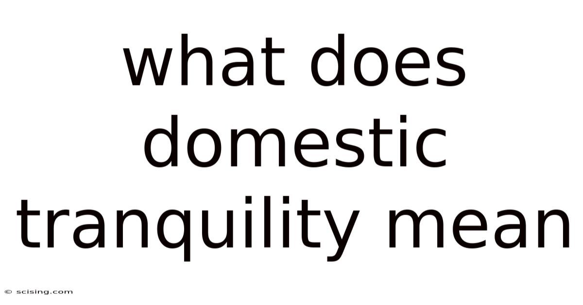 What Does Domestic Tranquility Mean