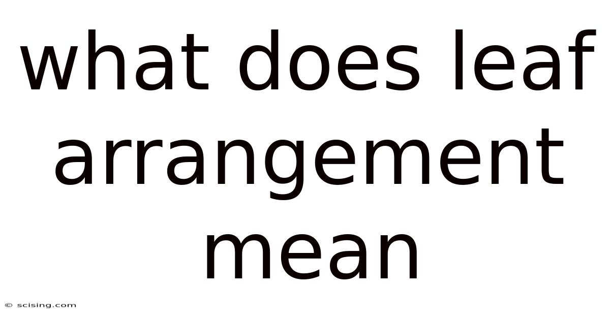 What Does Leaf Arrangement Mean
