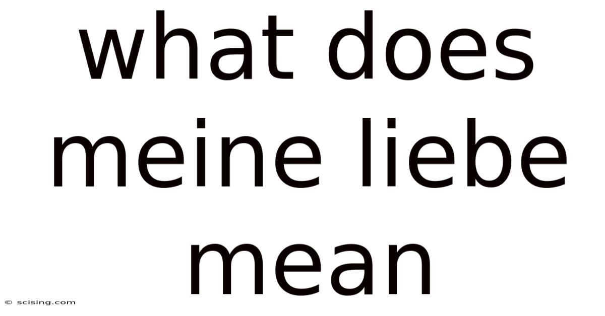 What Does Meine Liebe Mean