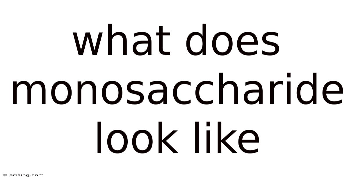 What Does Monosaccharide Look Like