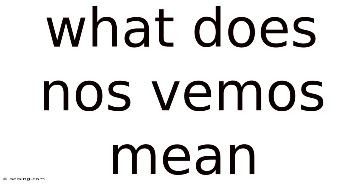 What Does Nos Vemos Mean