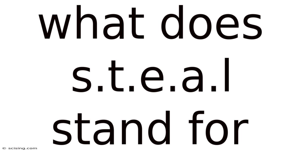 What Does S.t.e.a.l Stand For