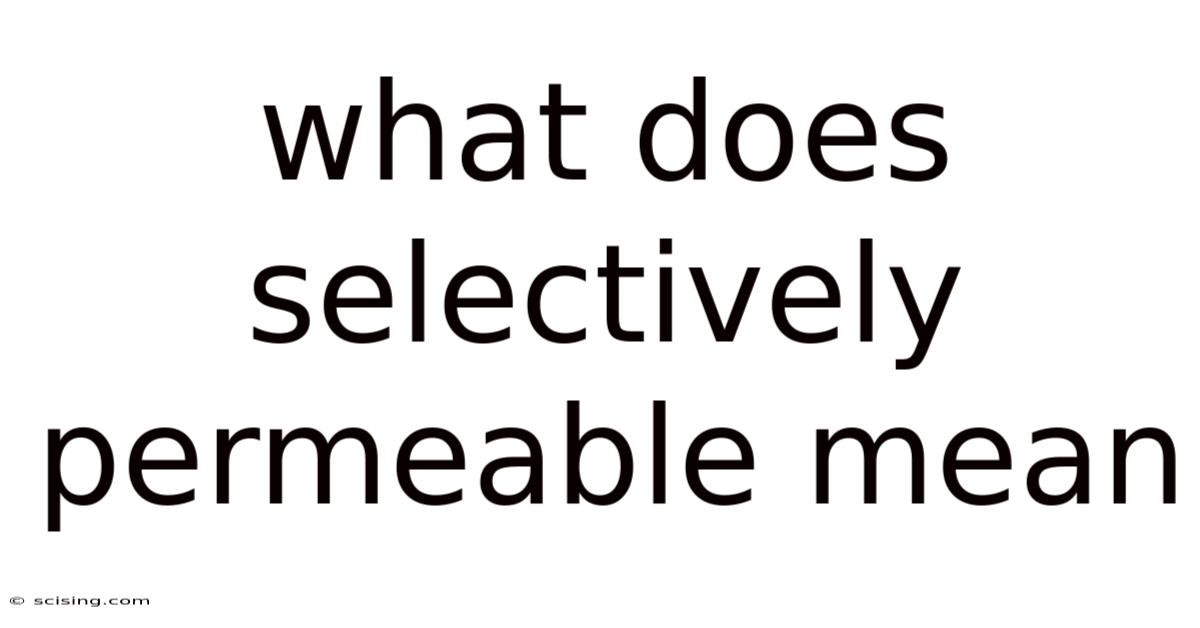 What Does Selectively Permeable Mean