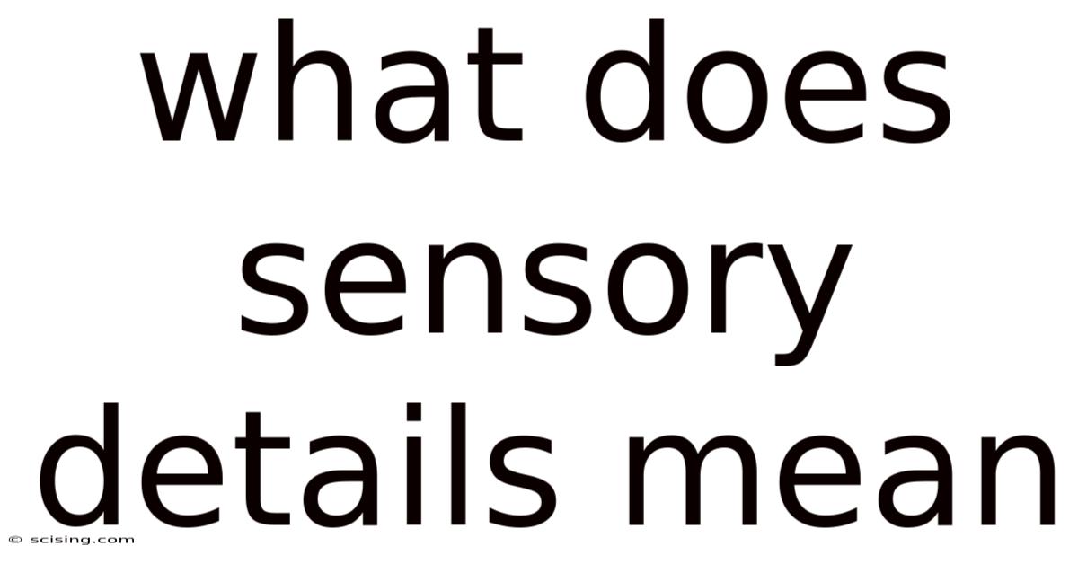 What Does Sensory Details Mean