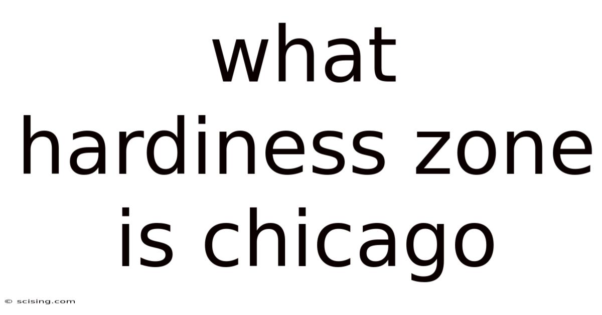 What Hardiness Zone Is Chicago