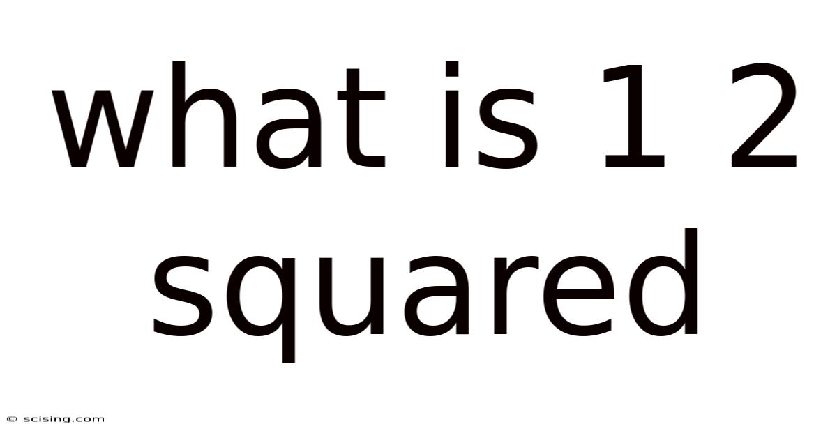 What Is 1 2 Squared