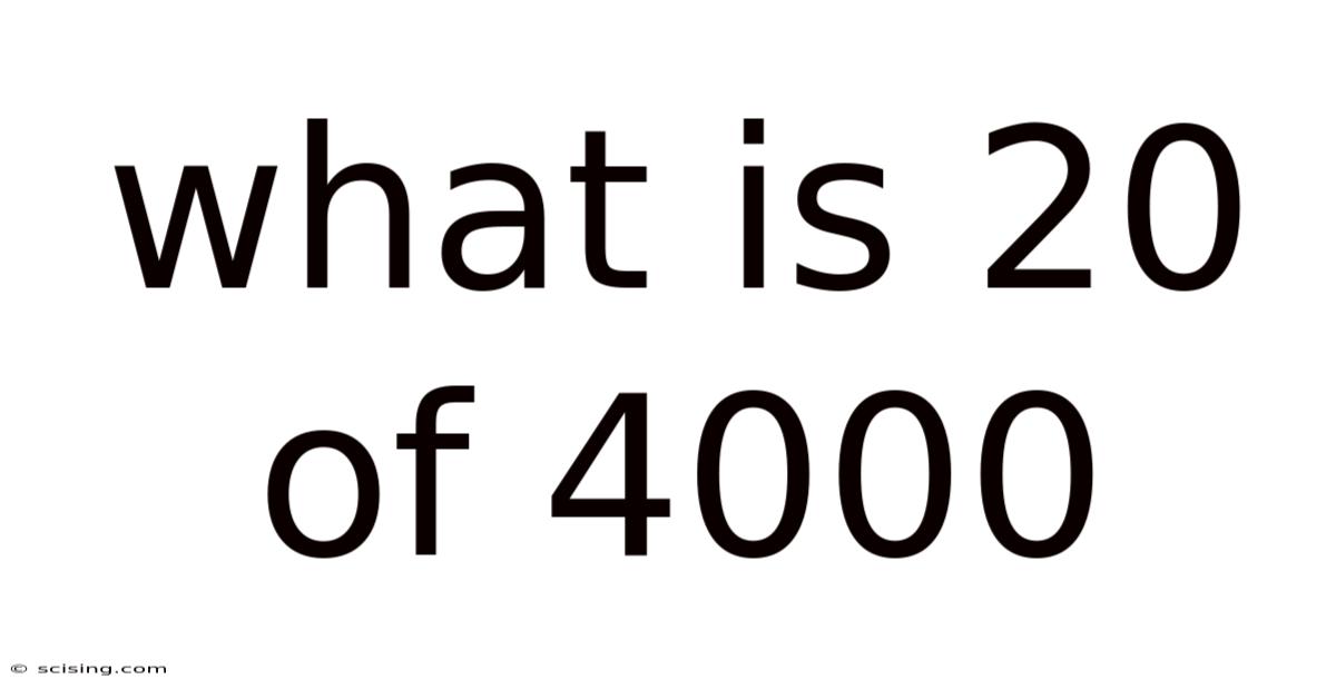 What Is 20 Of 4000
