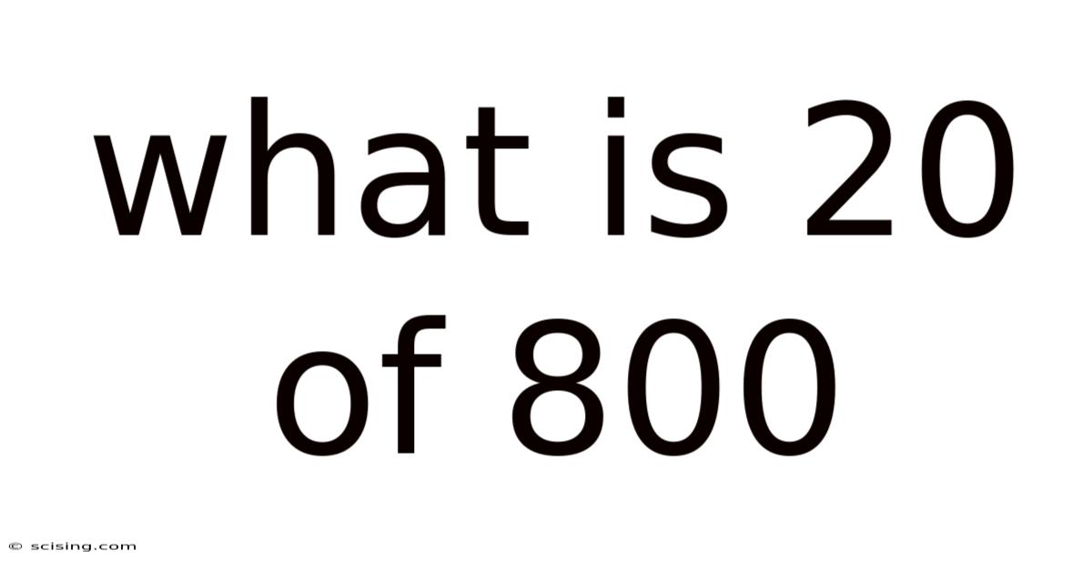 What Is 20 Of 800
