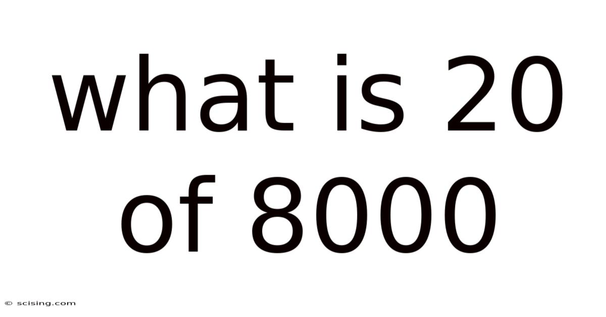 What Is 20 Of 8000