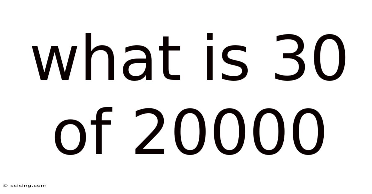 What Is 30 Of 20000