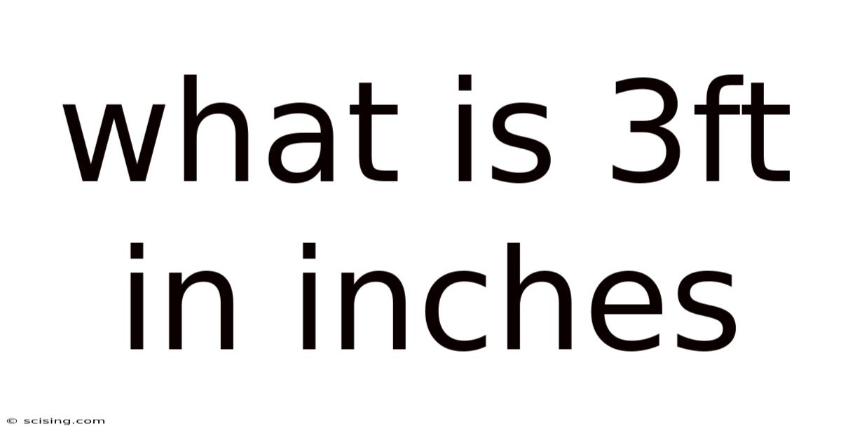 What Is 3ft In Inches