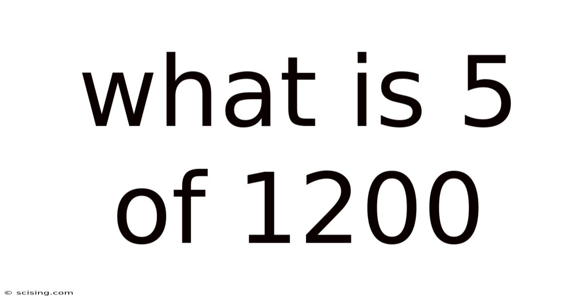What Is 5 Of 1200