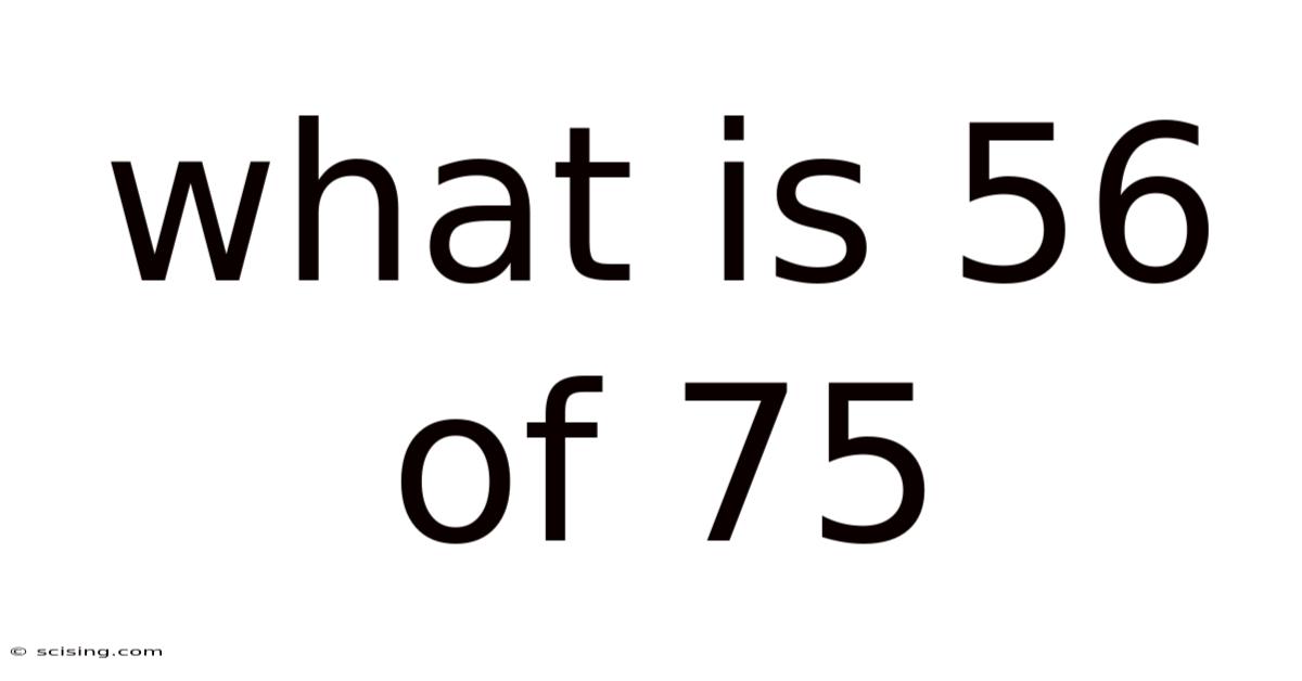 What Is 56 Of 75