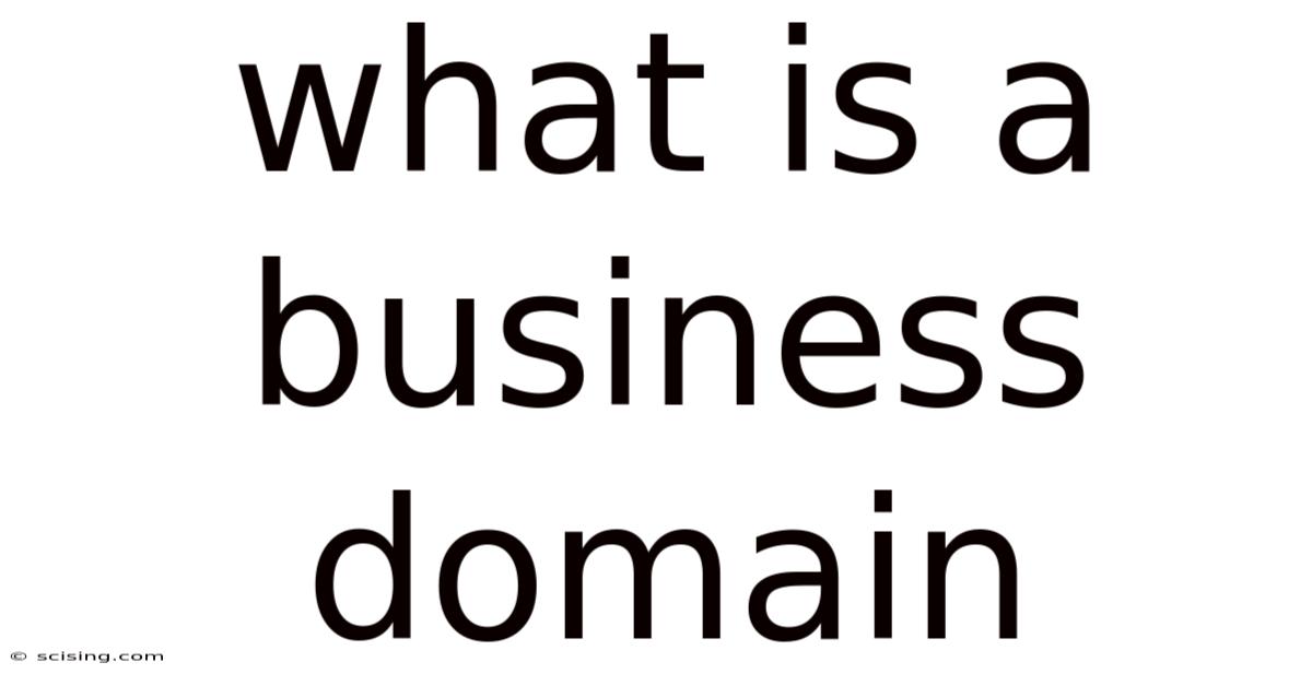 What Is A Business Domain