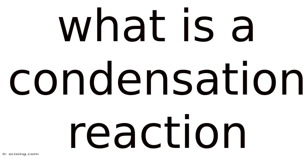 What Is A Condensation Reaction