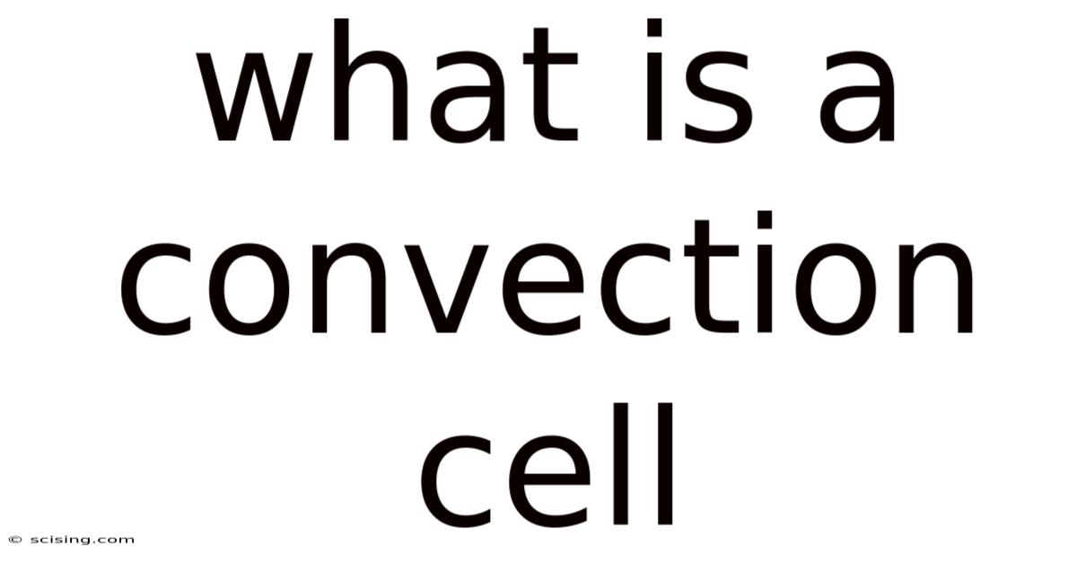 What Is A Convection Cell