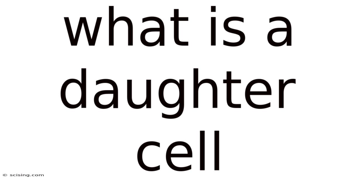 What Is A Daughter Cell