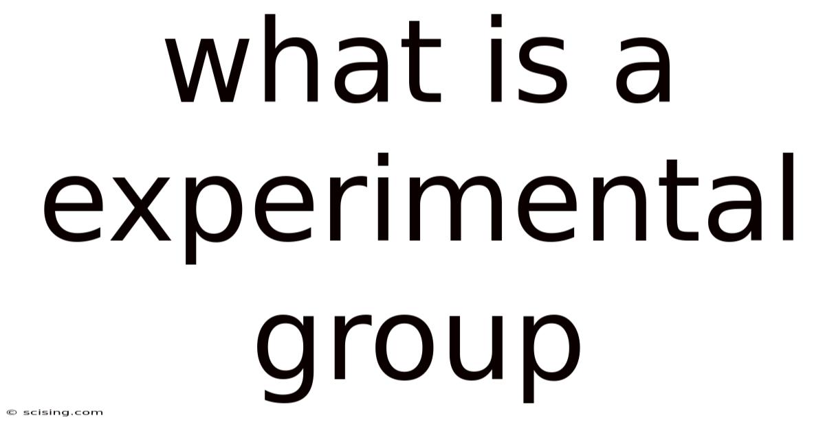 What Is A Experimental Group