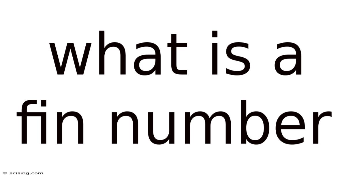 What Is A Fin Number
