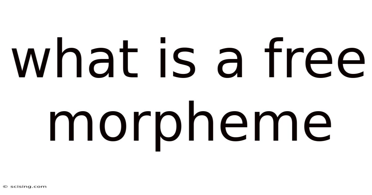 What Is A Free Morpheme