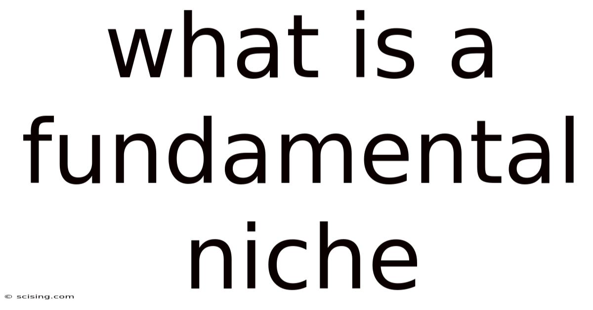 What Is A Fundamental Niche