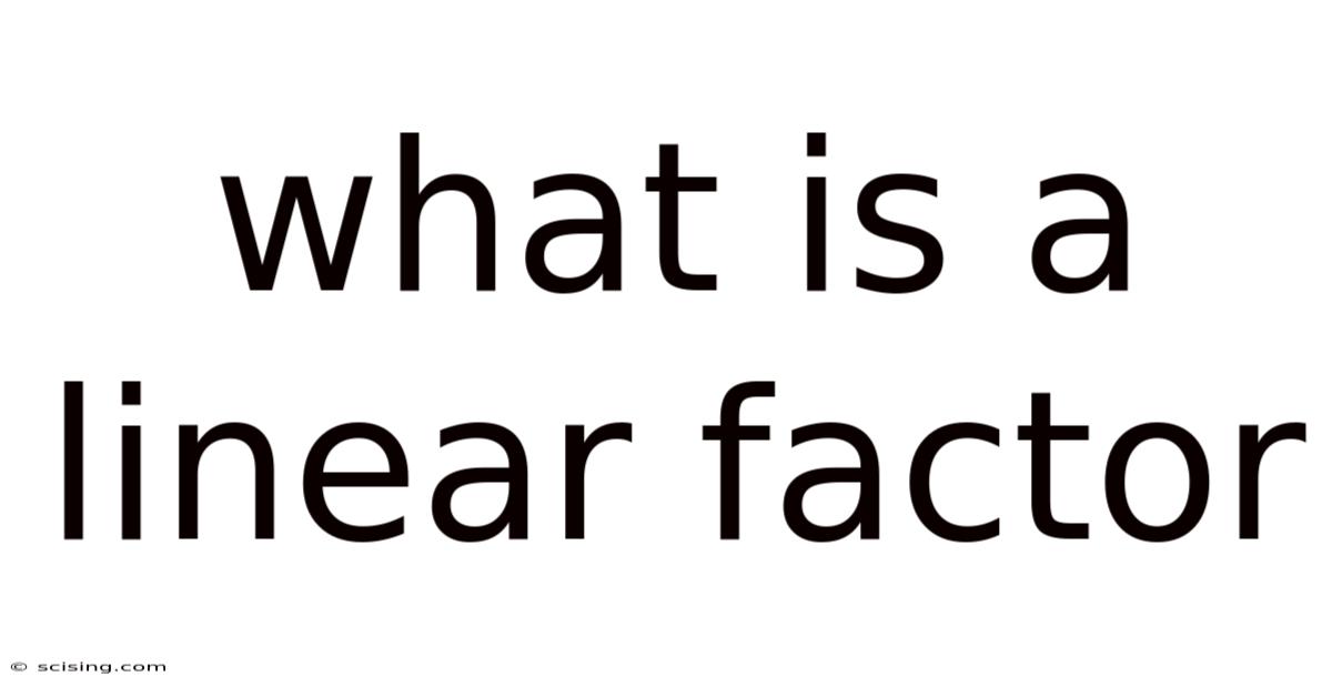 What Is A Linear Factor