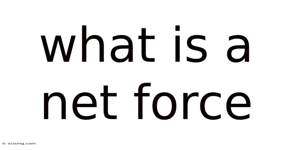 What Is A Net Force