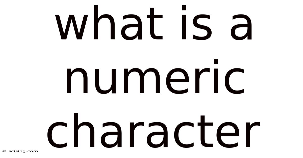 What Is A Numeric Character