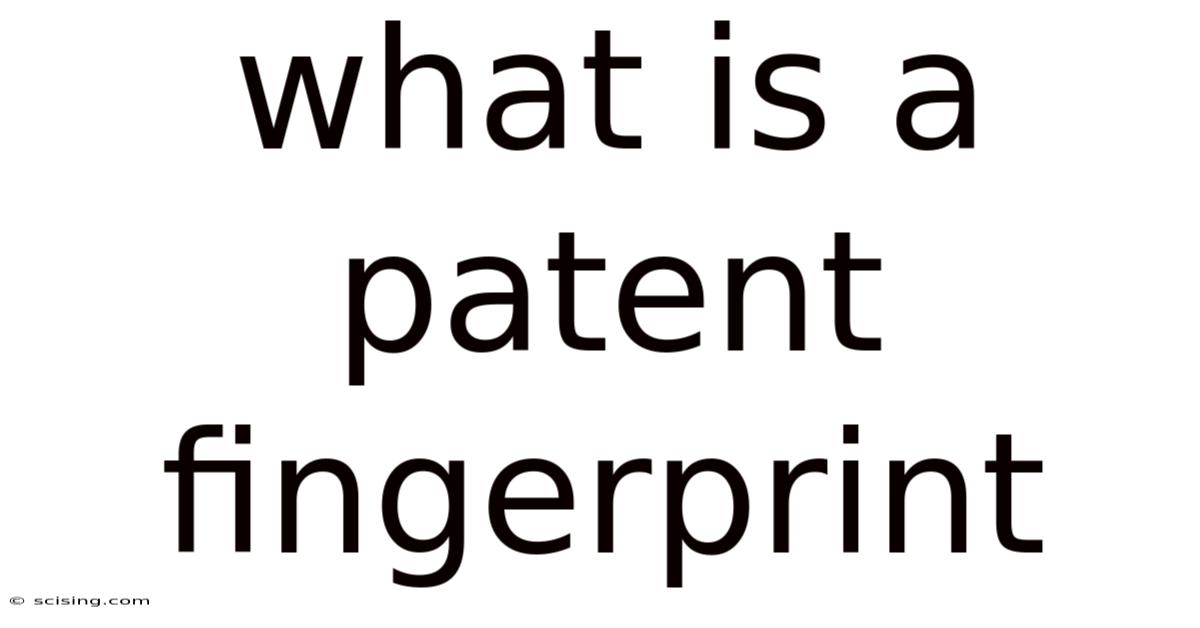 What Is A Patent Fingerprint