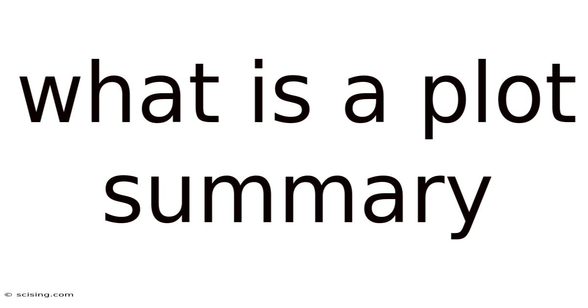What Is A Plot Summary