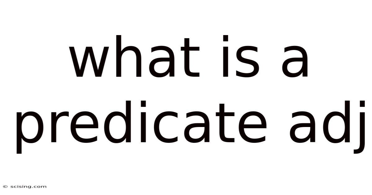What Is A Predicate Adj