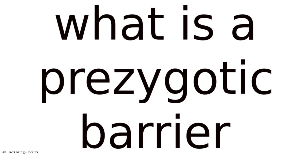 What Is A Prezygotic Barrier