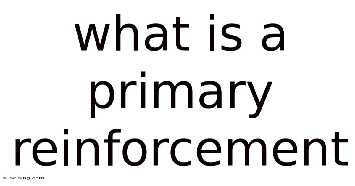 What Is A Primary Reinforcement