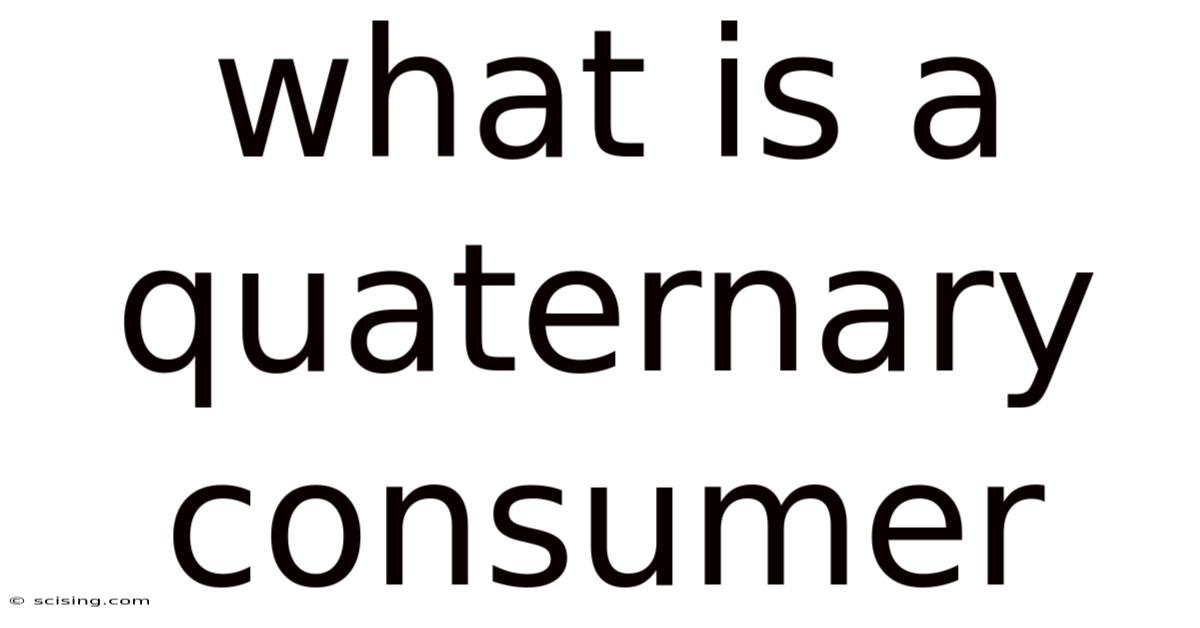 What Is A Quaternary Consumer