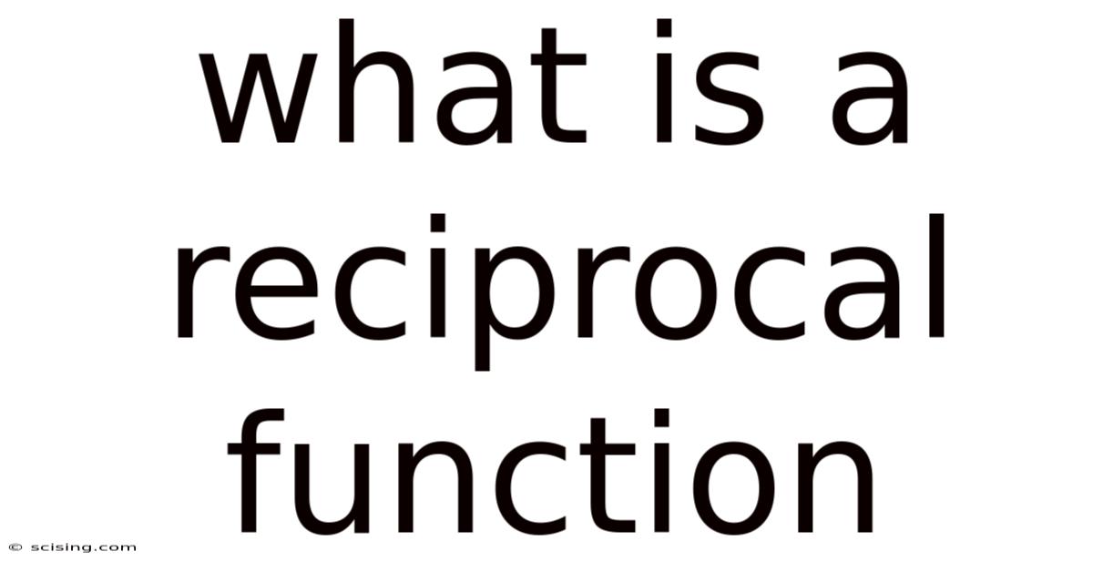 What Is A Reciprocal Function