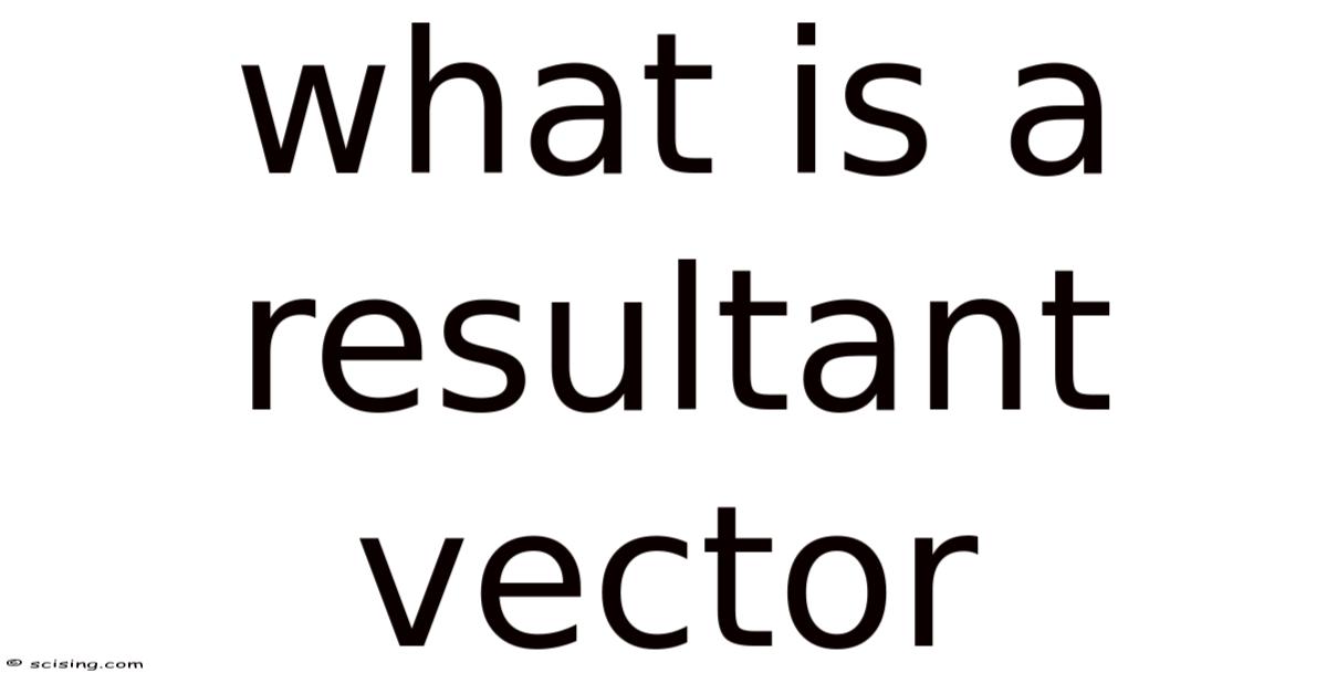 Resltant Vector What Is A Resultant Vector
