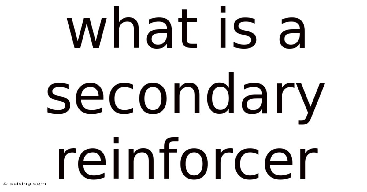 What Is A Secondary Reinforcer