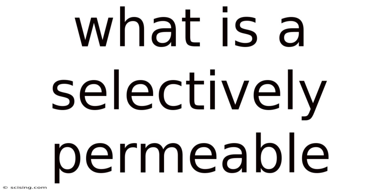 What Is A Selectively Permeable
