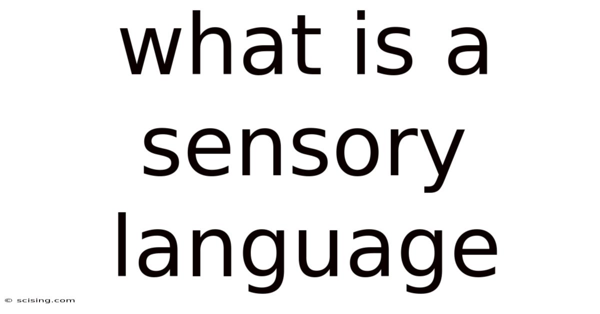 What Is A Sensory Language