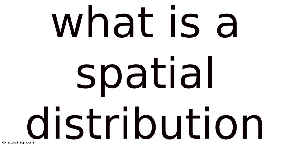 What Is A Spatial Distribution