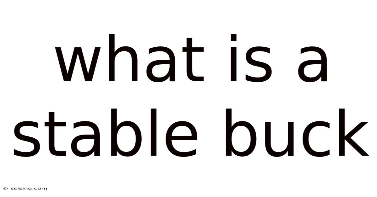 What Is A Stable Buck